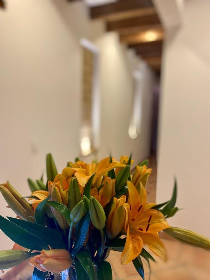 Hotel Alandalus 비야 데 레이바 외부 사진